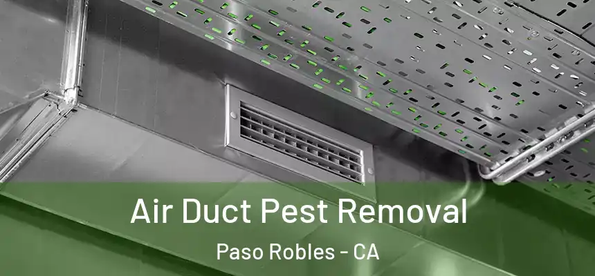 Air Duct Pest Removal Paso Robles - CA