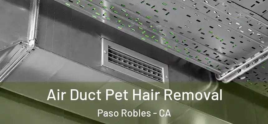  Air Duct Pet Hair Removal Paso Robles - CA