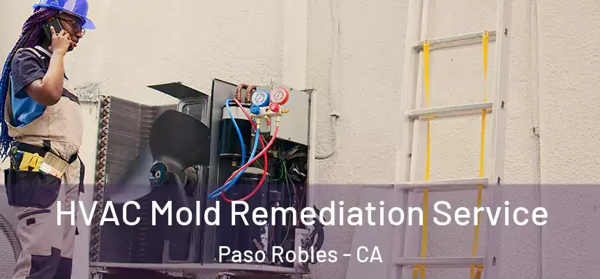 HVAC Mold Remediation Service Paso Robles - CA