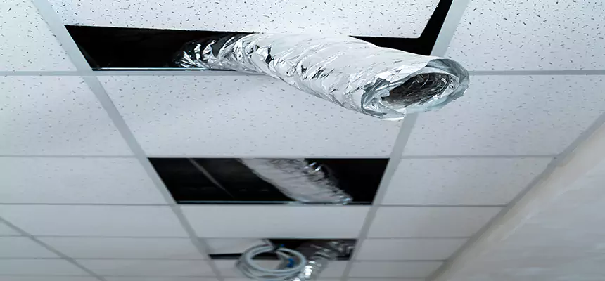 Our Air Duct Pet Hair Removal Services in Paso Robles, CA