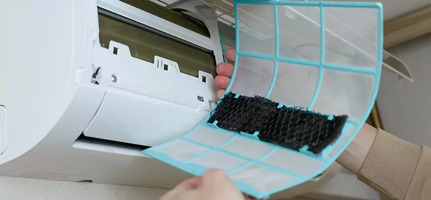 Gentle Ductwork Odor-Control Pet Dander Duct Cleaning in Paso Robles, CA