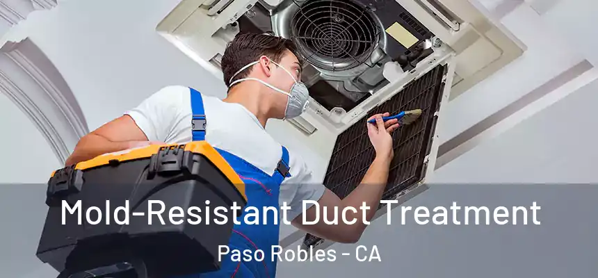 Mold-Resistant Duct Treatment Paso Robles - CA