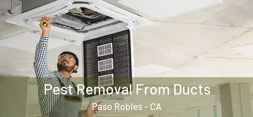 Pest Removal From Ducts Paso Robles - CA