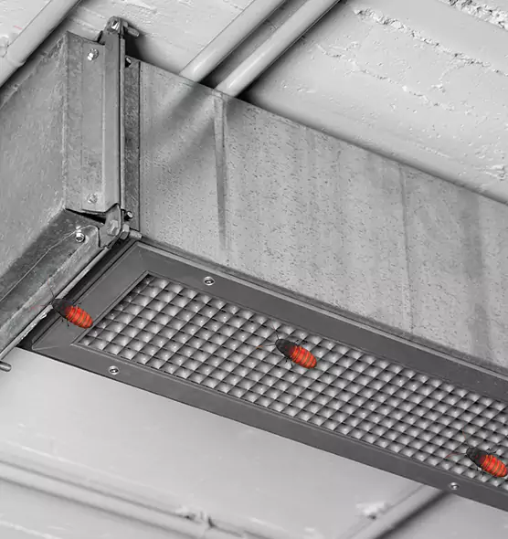 About Air Duct Cockroach Removal in Paso Robles, CA