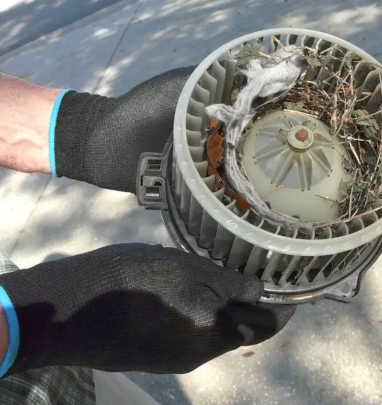 About Air Duct Mice Removal in Paso Robles, CA