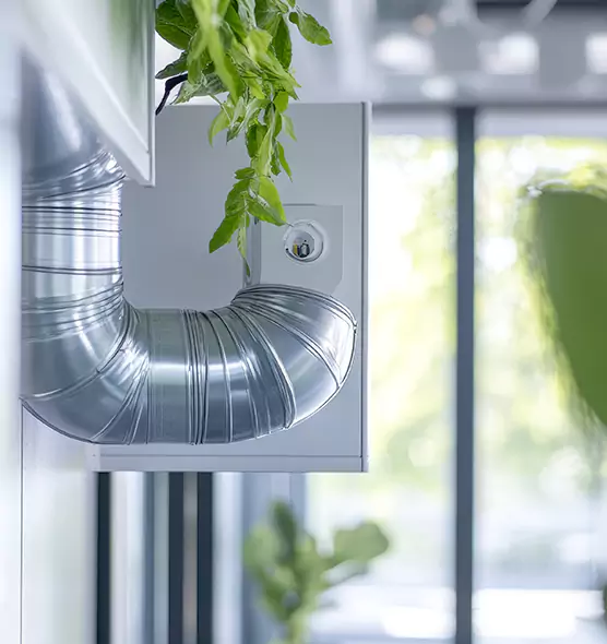 Professional Eco-Safe Dryer Vent Cleaning in Paso Robles, CA