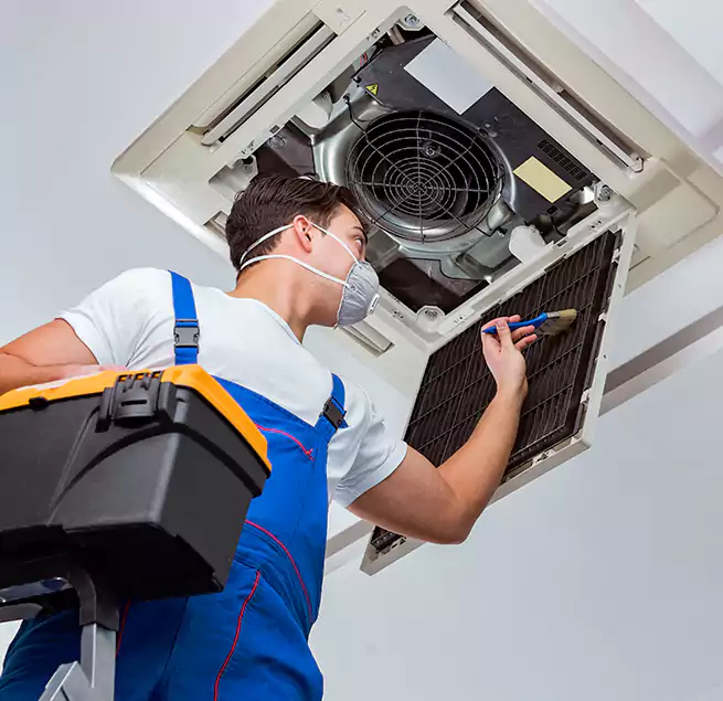 Why Homeowners & Businesses Trust Us in Paso Robles, CA