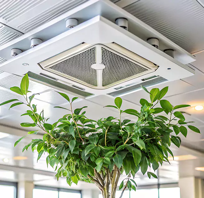 Why Homeowners & Businesses Trust Us in Paso Robles, CA?