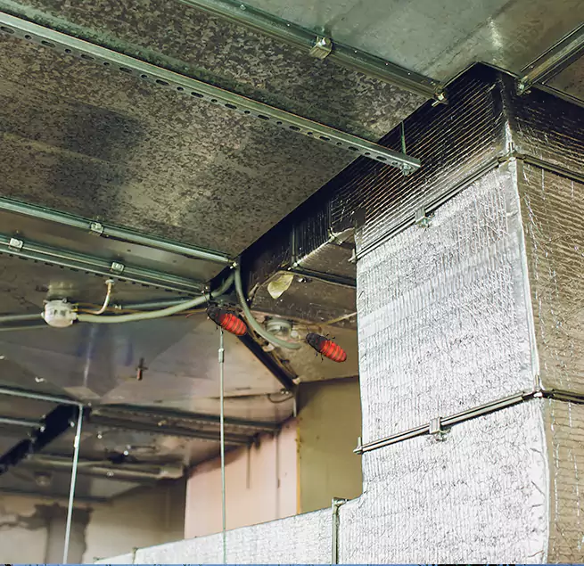 Why Homeowners & Businesses Trust Us Paso Robles, CA?