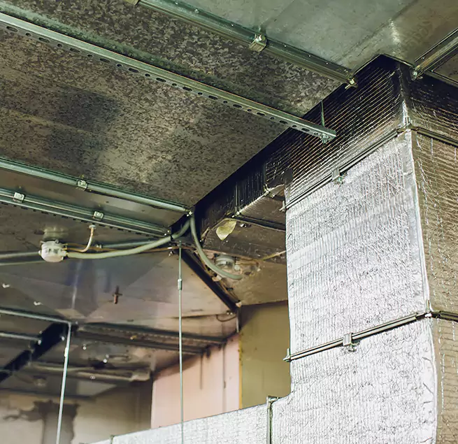 Why Homeowners & Businesses Trust Us in Paso Robles, CA?